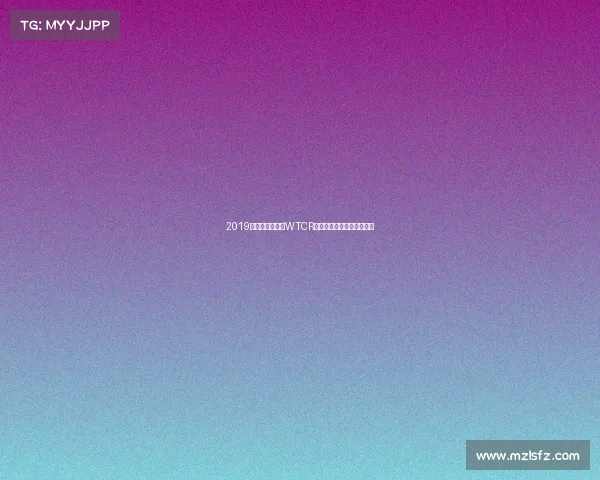 2019年世界房车杯赛WTCR激情角逐与荣耀瞬间全回顾