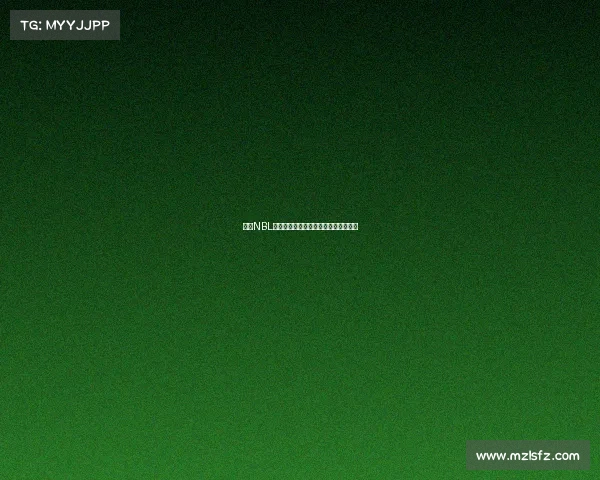 武汉NBL篮球赛事激情上演群星闪耀江城争霸战